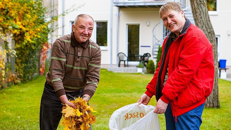 Männer sammeln Laub draußen